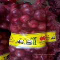 Importadores de cebollas frescas en Malasia